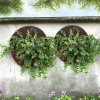 Image miniature 2 de 7.
