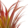 Thumbnail image 3 of 6.