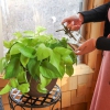 Thumbnail image 2 of 7.