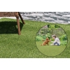 Thumbnail image 3 of 3.