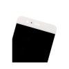 Thumbnail image 1 of 5.