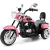 Thumbnail image 1 of 3.