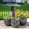 Thumbnail image 2 of 7.