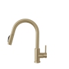 Colour Brushed Gold
