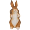 Thumbnail image 1 of 6.