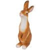 Thumbnail image 1 of 6.