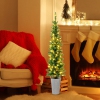 Thumbnail image 2 of 10.