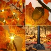 Thumbnail image 2 of 9.