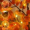Thumbnail image 3 of 9.
