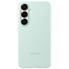 Colour Mint