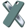 Couleur Vert pin