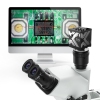 Thumbnail image 2 of 5.