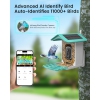 Thumbnail image 2 of 6.