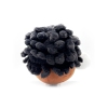 Thumbnail image 2 of 5.
