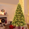 Thumbnail image 2 of 8.