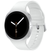 Band Colour Silver