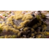 Thumbnail image 3 of 3.