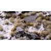 Thumbnail image 3 of 3.