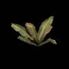 Thumbnail image 2 of 2.