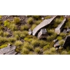 Thumbnail image 3 of 3.