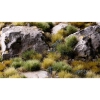 Thumbnail image 3 of 3.