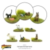 Image miniature 2 de 5.