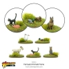 Image miniature 3 de 5.