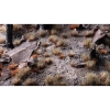 Thumbnail image 3 of 3.