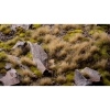 Thumbnail image 3 of 3.