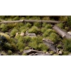 Thumbnail image 3 of 3.