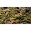 Thumbnail image 3 of 3.
