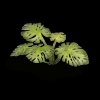 Image miniature 3 de 4.