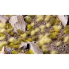 Thumbnail image 3 of 3.