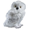 Thumbnail image 1 of 5.