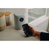 Thumbnail image 3 of 6.