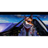 Thumbnail image 2 of 6.