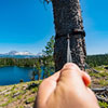 Thumbnail image 3 of 4.