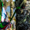 Thumbnail image 2 of 3.