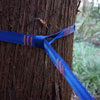 Thumbnail image 3 of 3.