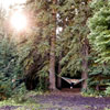 Thumbnail image 3 of 4.