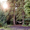 Thumbnail image 3 of 3.