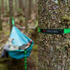 Thumbnail image 3 of 3.