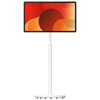 Thumbnail image 1 of 6.