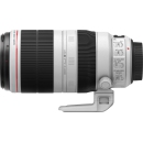 Canon 100-400mm f4.5-5.6L IS II EF USM Lens | Best Buy Canada