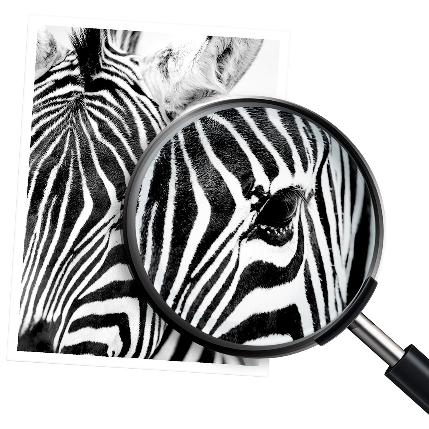 Cartouche de poudre d'encre noire LaserJet 80A de HP