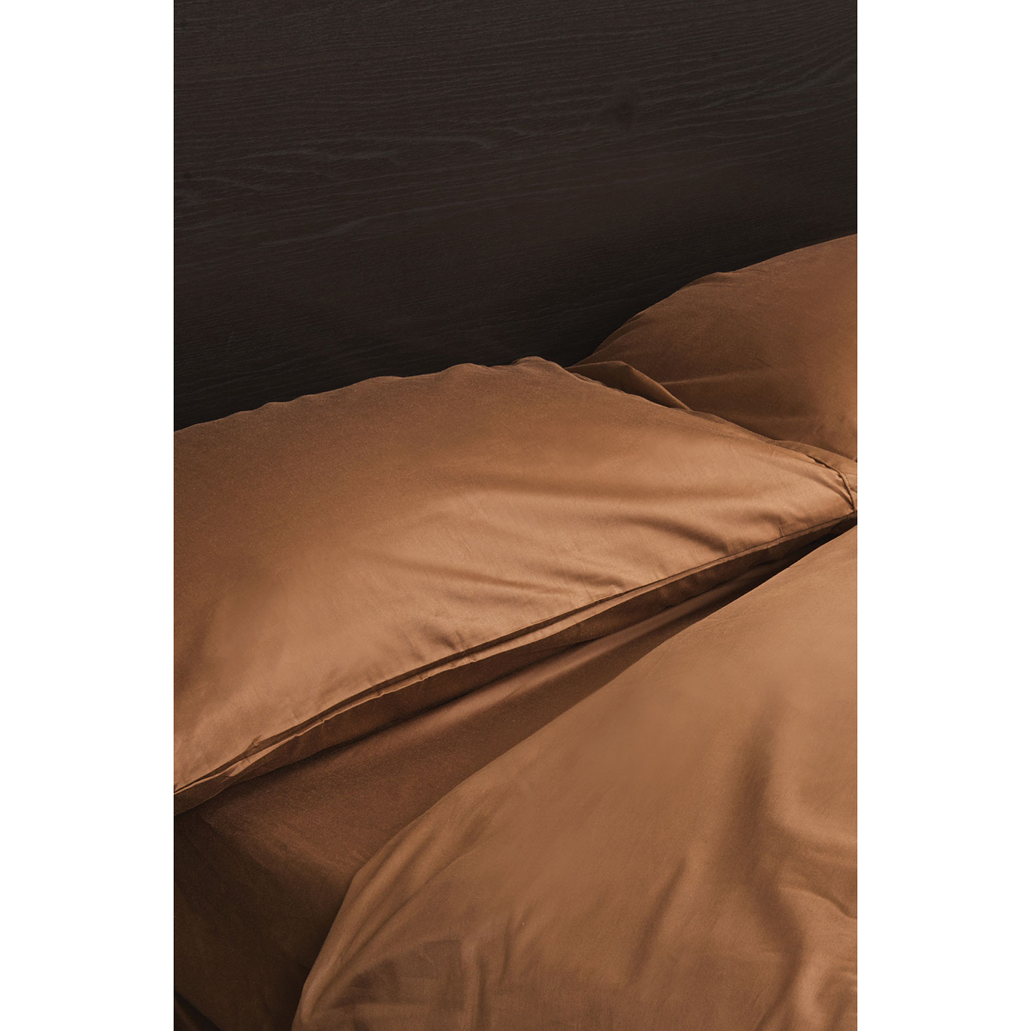 Ens. housse de couette en coton égyptien contexture 230 Maxwell de Maholi - Lit 1 place - Chocolat