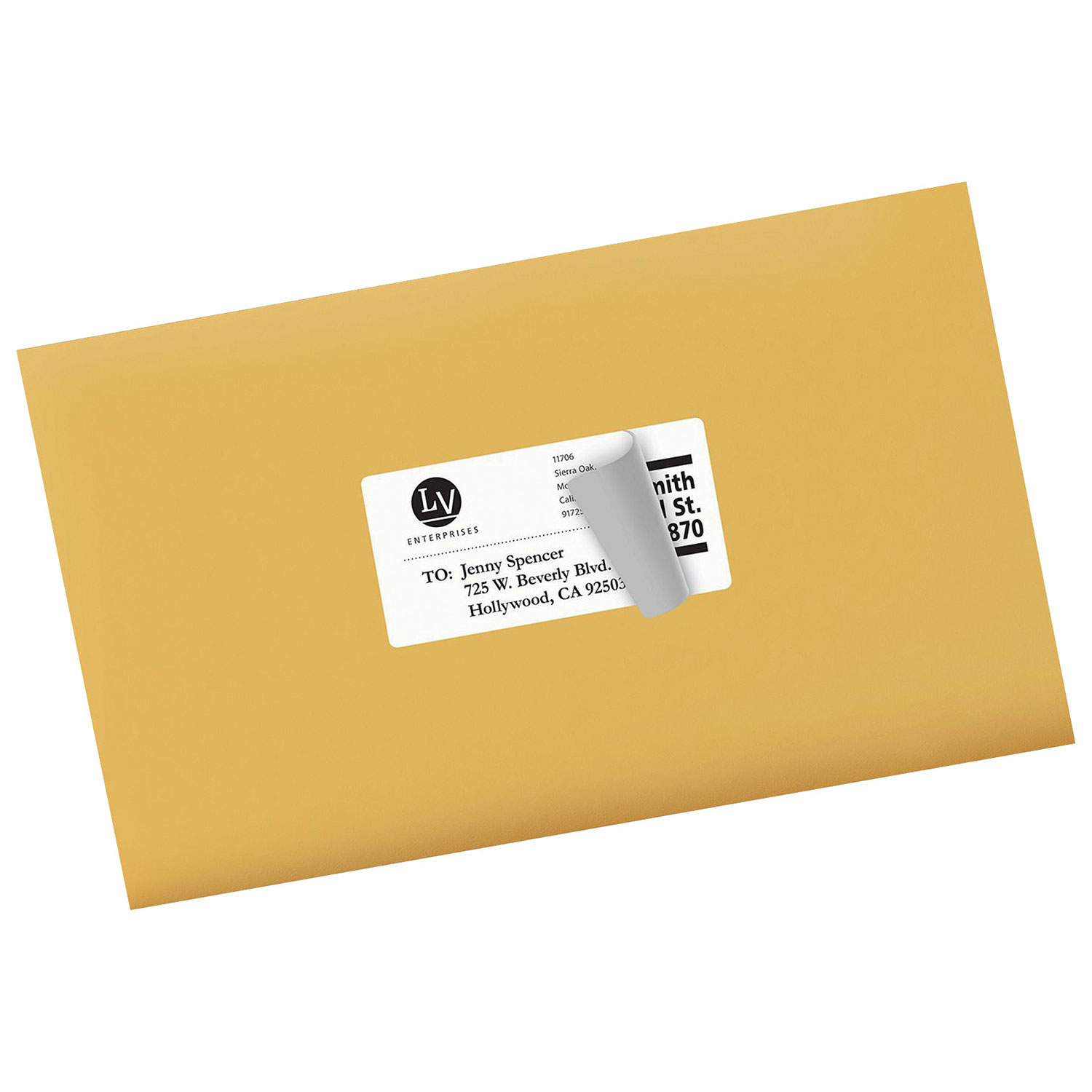 Avery 2" x 4" TrueBlock Mailing Labels - 2500 Pack