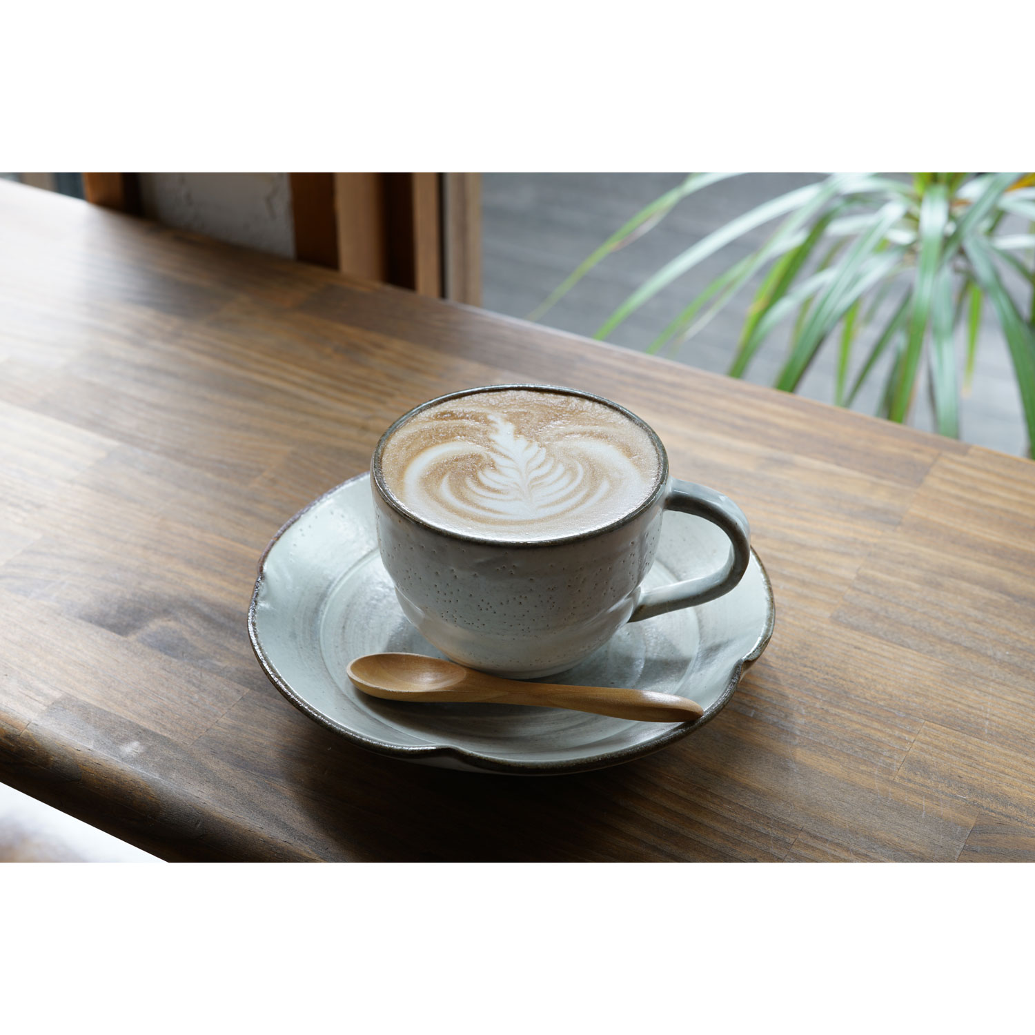 Sony E-Mount APS-C 50mm f/1.8 OSS Portrait Prime Lens