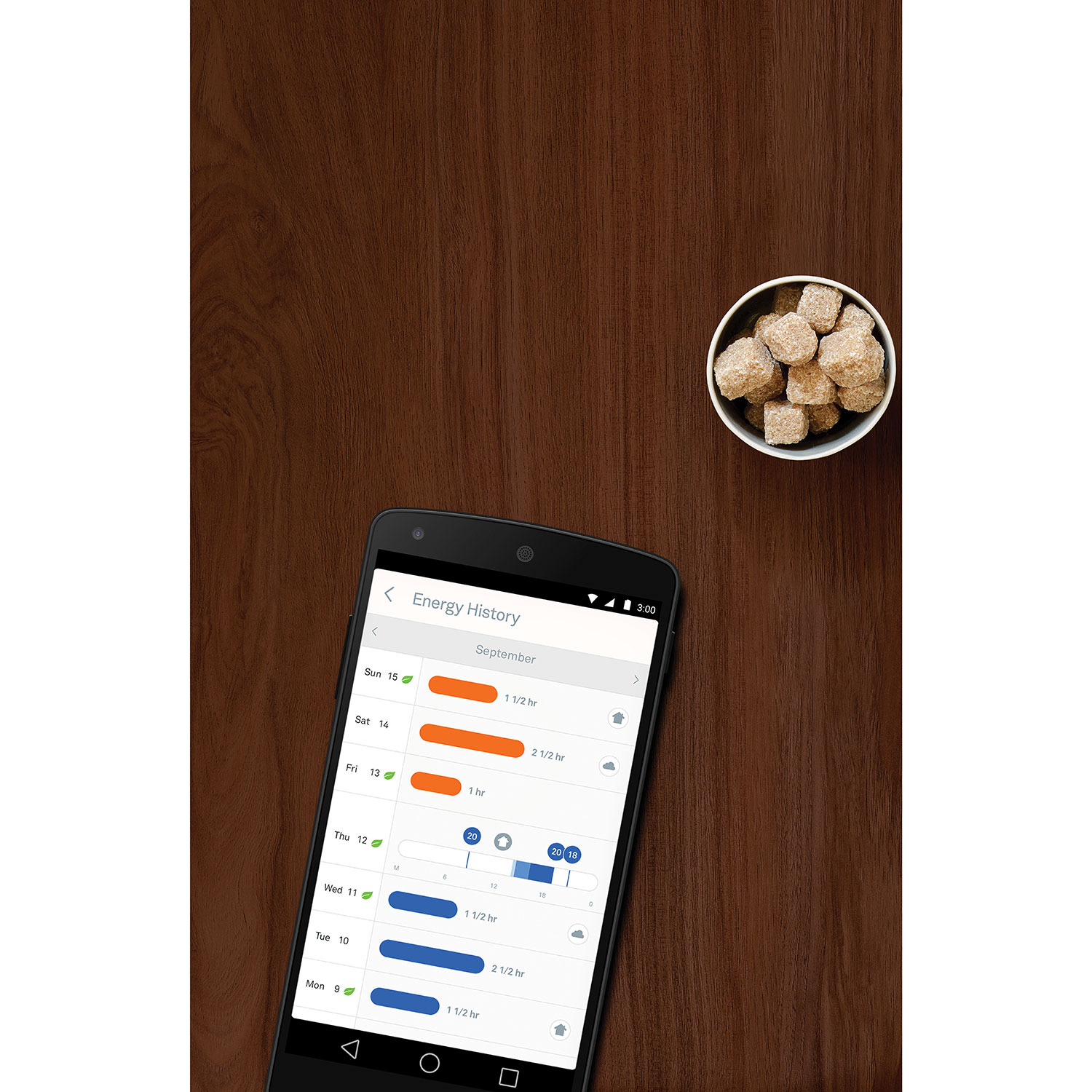 Thermostat intelligent Wi-Fi Google Nest Learning - Acier inoxydable
