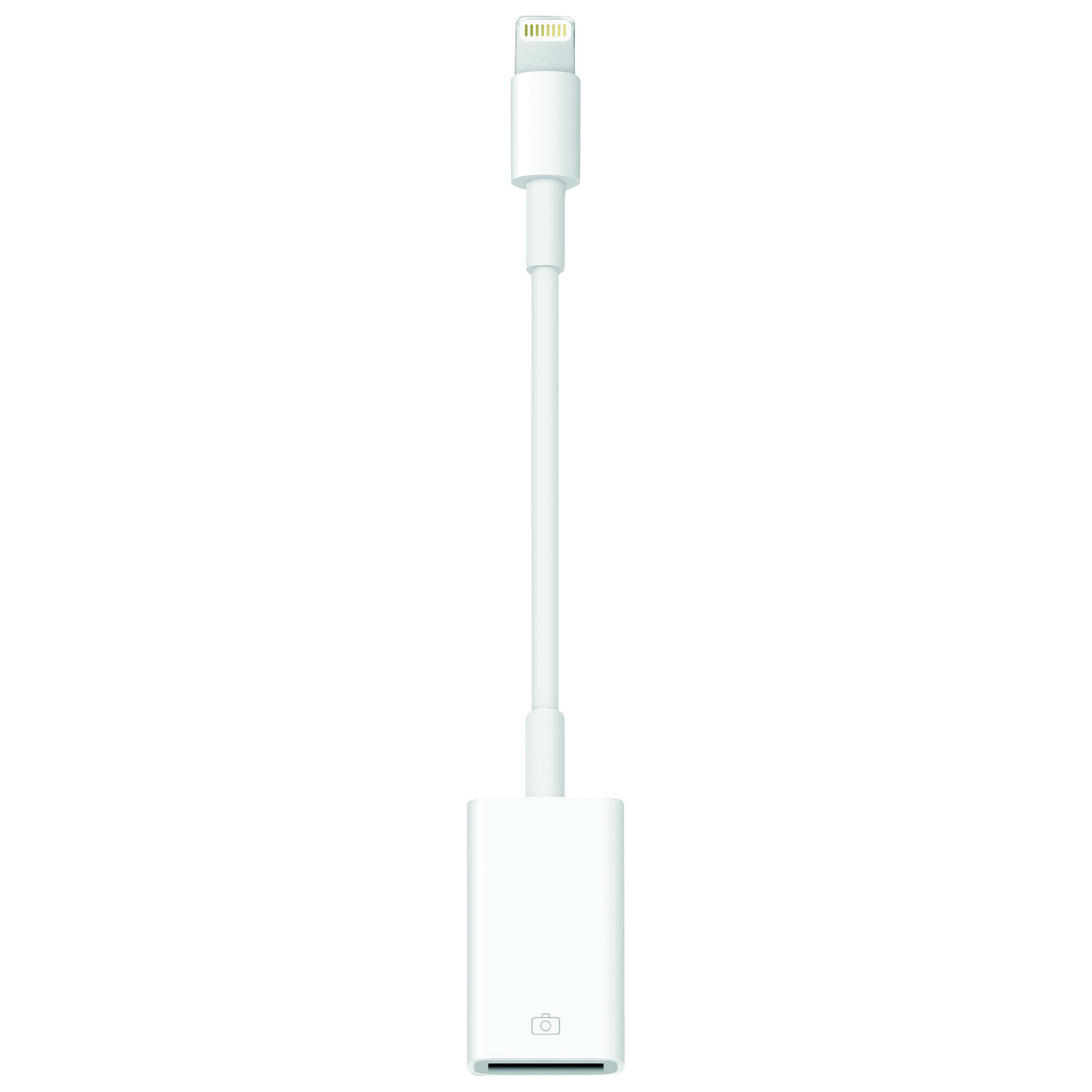 Wahbite Adaptateur Apple Lightning vers USB pour appareil photo